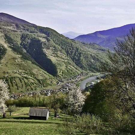 Dream Hostel Carpathians راخيف المظهر الخارجي الصورة