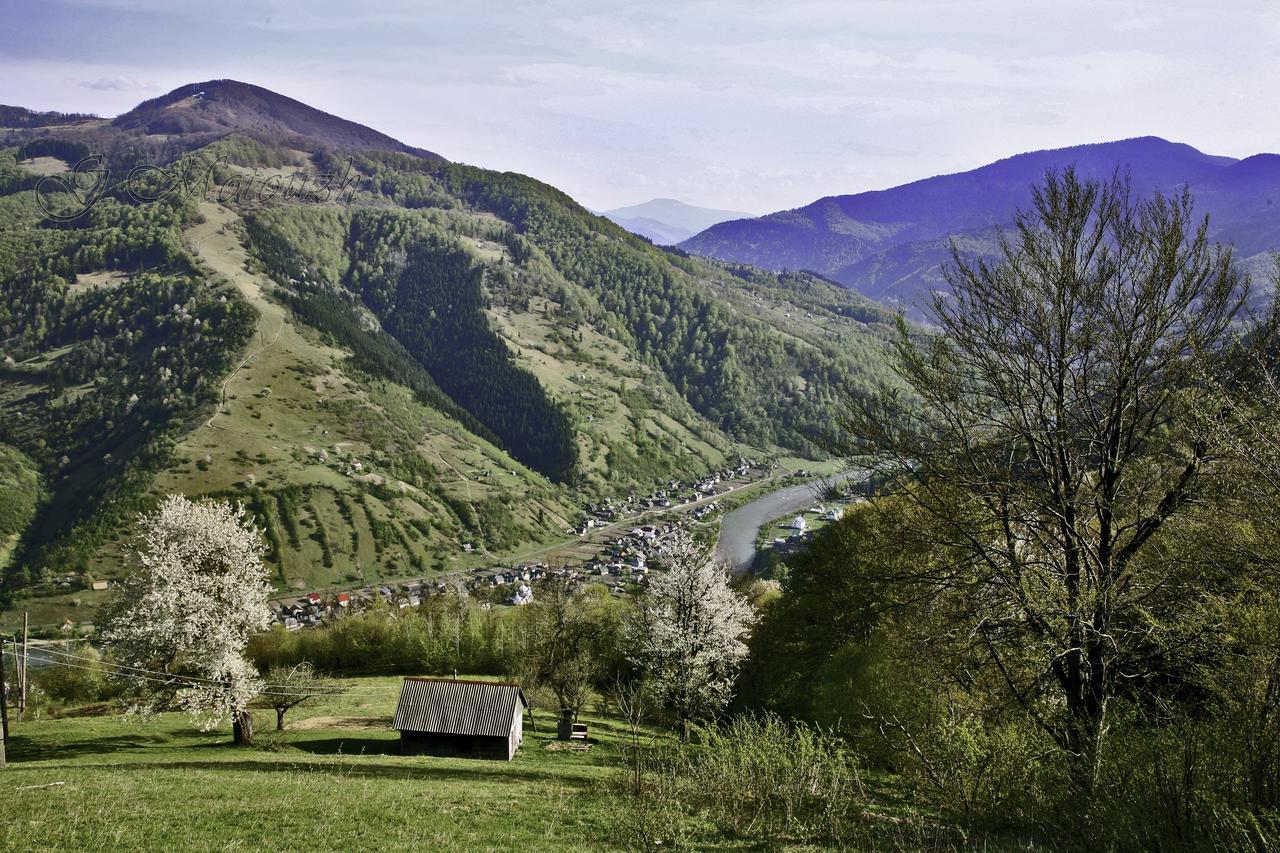 Dream Hostel Carpathians راخيف المظهر الخارجي الصورة